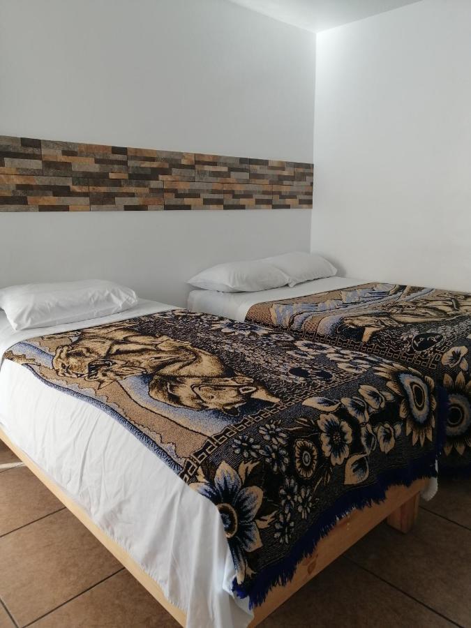 Hostal Maple Querétaro Zewnętrze zdjęcie