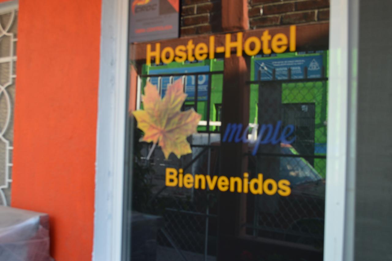 Hostal Maple Querétaro Zewnętrze zdjęcie