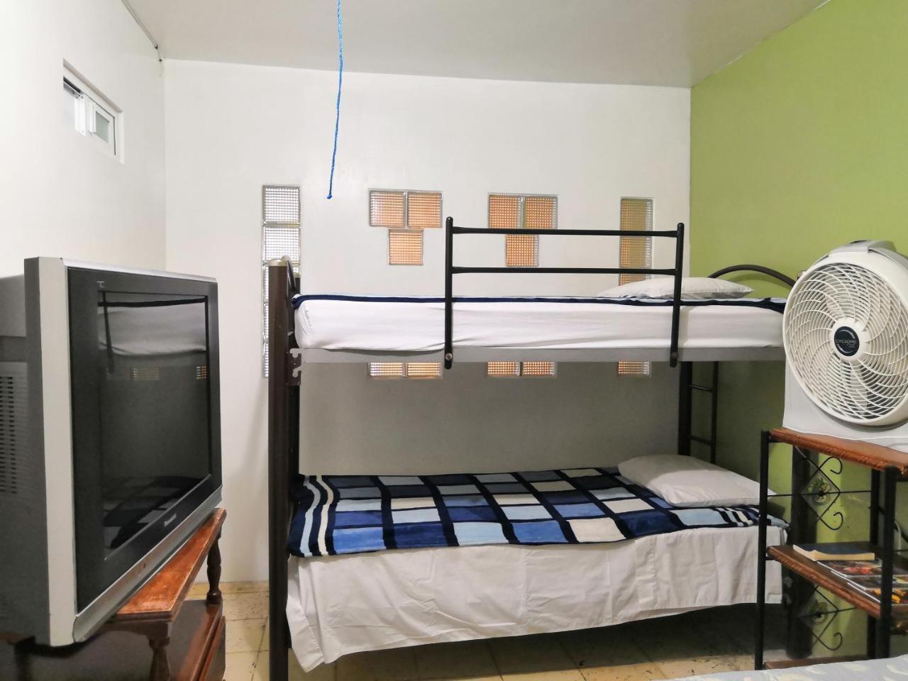 Hostal Maple Querétaro Zewnętrze zdjęcie